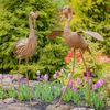 Large Rustic Dancing Herons (Set of 2)