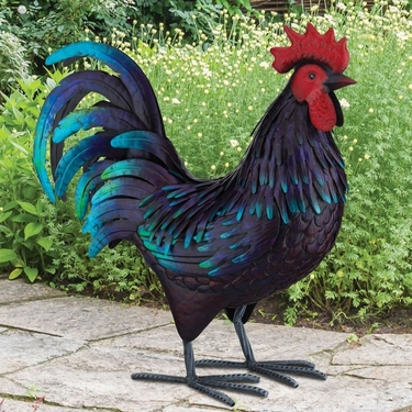 Large Shetland Rooster - Click to enlarge