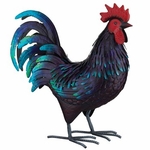 Large Shetland Rooster