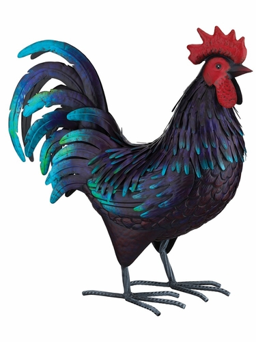 Large Shetland Rooster - Click to enlarge