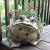 Large Toad Planter - Natural Brown