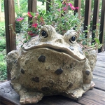 Large Toad Planter - Natural Brown