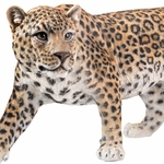Leopard Stalking Statue "Ultra-Realistic"