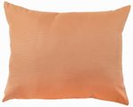 Living Coral Outdoor Pillow