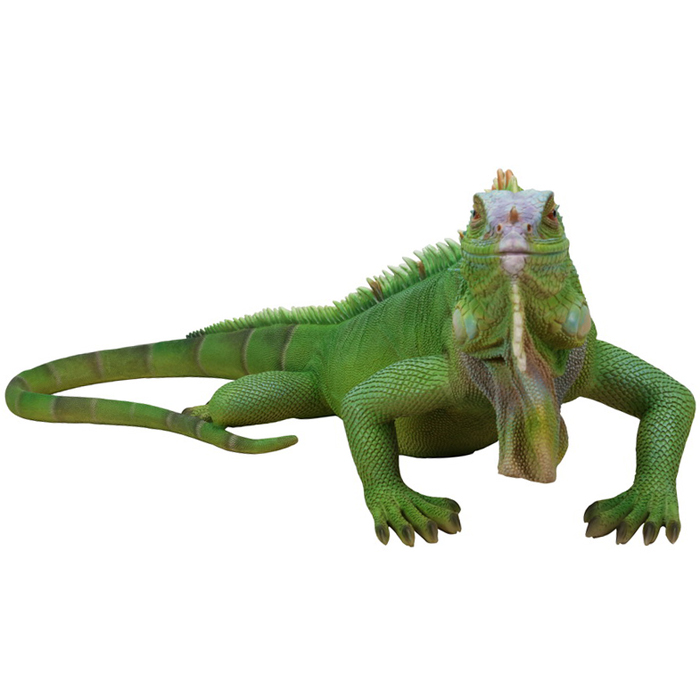 Lizard Iguana Statue 