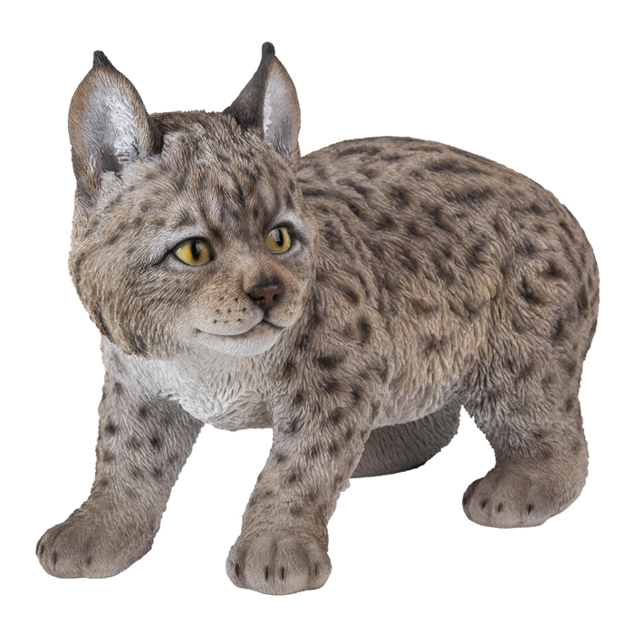 Lynx Kitten Statue 