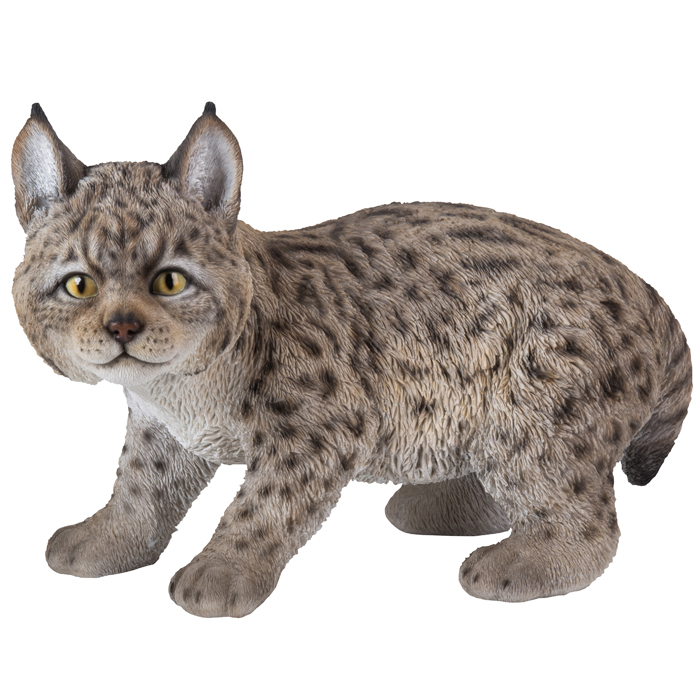 KⅡ Bonny Lynx The tamer 14ft 8in #9/10 Lynx Kitten Statue 