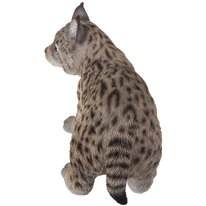 KⅡ Bonny Lynx The tamer 14ft 8in #9/10 hqdefault.jpg