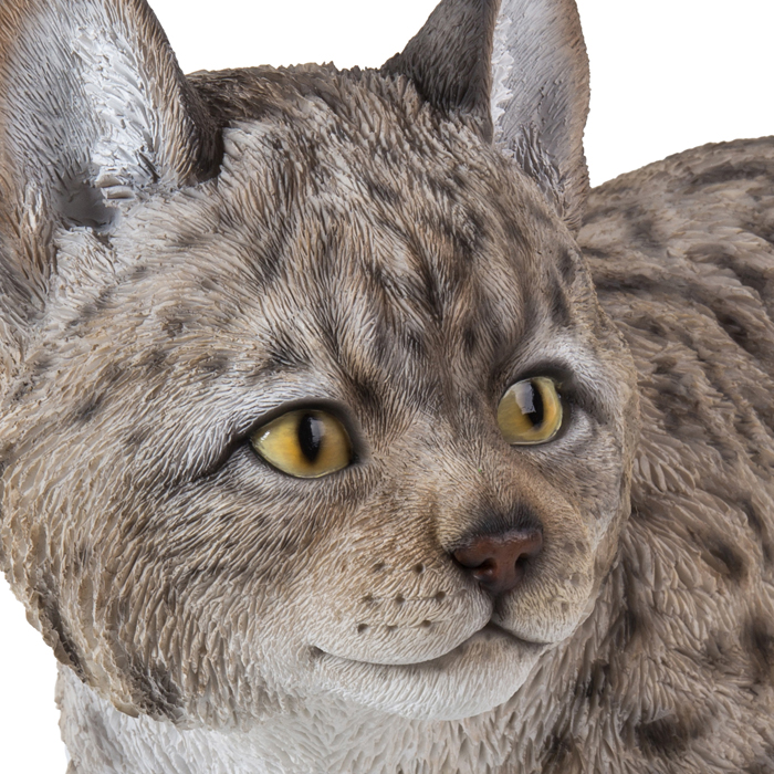 KⅡ Bonny Lynx The tamer 14ft 8in #9/10 Lynx Kitten Statue 
