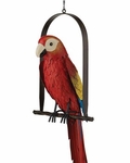 Macaw Parrot on Swing Macaw Parrot on Swing