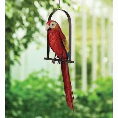 Macaw Parrot on Swing - Click to enlarge