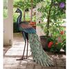 Majestic Peacock Statue - Standing