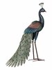 Majestic Peacock Statue - Standing