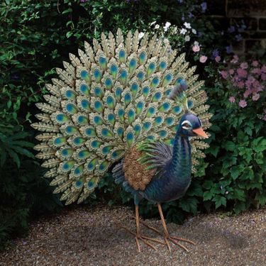 Majestic Peacock Statue - Click to enlarge