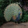 Majestic Peacock Statue
