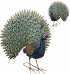 Majestic Peacocks (Set of 2)