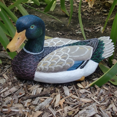Mallard Duck Garden Decoy - Click to enlarge