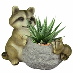 Mama Racoon Planter