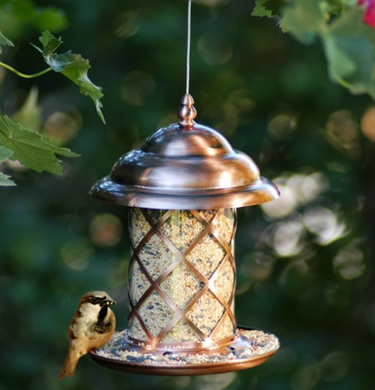Metal Canopy Feeder w/Tray - Click to enlarge