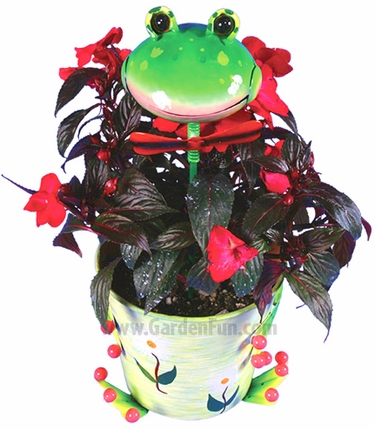 Metal Flower Pot w/Cheery Frog Head - Click to enlarge