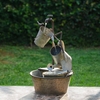 Metal Garden Tools Fountain