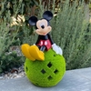 Mickey Mouse Sitting on Garden Ball