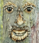Mr. Tree Face