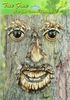 Mr. Tree Face