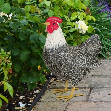 Metal Murray Hen - Click to enlarge
