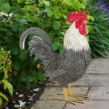 Metal Murray Rooster - Click to enlarge