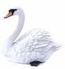 Mute Swan Decor "Ultra-Realistic"