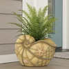 Nautical Conch Seashell Planter - Faux Wood Finish