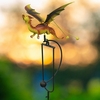 Small Orange Dragon Balance Rocker Stake