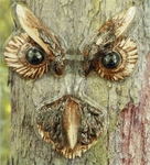 Owl Tree Art