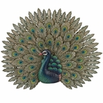 Peacock Pride Wall Decor