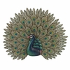 Peacock Pride Wall Decor