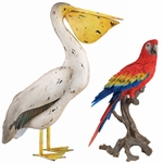 Pelicans & Parrots