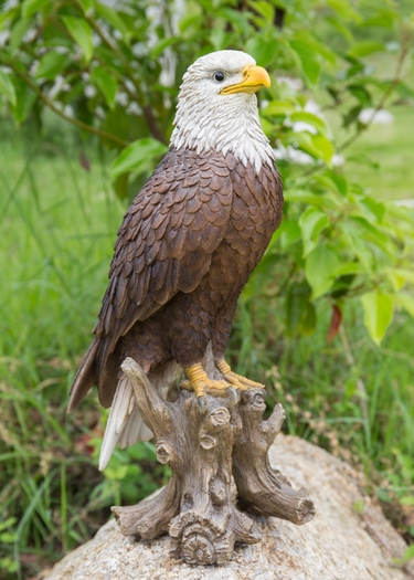 Perched Bald Eagle 