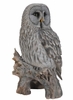 Perched Grey Owl "Ultra-Realistic"
