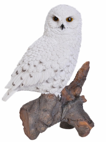 Perched Snowy Owl 