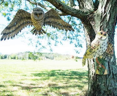 Perched Tree Metal Owls (Set of 2) - Click to enlarge