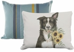 Pillow Bundle: Azure Bay + Collie Sunflowers