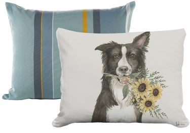 Pillow Bundle: Azure Bay + Collie Sunflowers - Click to enlarge