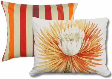 Pillow Bundle: Cristina Stripe + Cactus Blossom - Click to enlarge