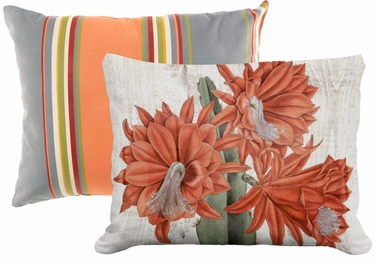 Pillow Bundle: Serene Sunset + Cactus Flower 2 - Click to enlarge