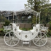 Pink Parisian Style Cinderella Carriage with Planters