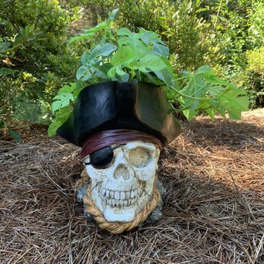 Pirate Skull Planter Decor - Click to enlarge