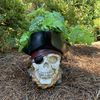 Pirate Skull Planter Decor