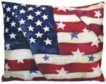 Proud America Stars Outdoor Pillow