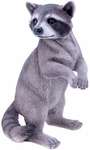 Raccoon Statue - Upright "Ultra-Realistic" Raccoon Statue - Upright "Ultra-Realistic"